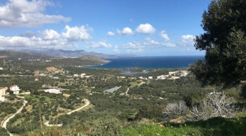 Kalo Chorio MIT VIDEO: Kreta, Kalo Chorio: Großes ländliches Baugrundstück mit Meerblick zu verkaufen Grundstück kaufen